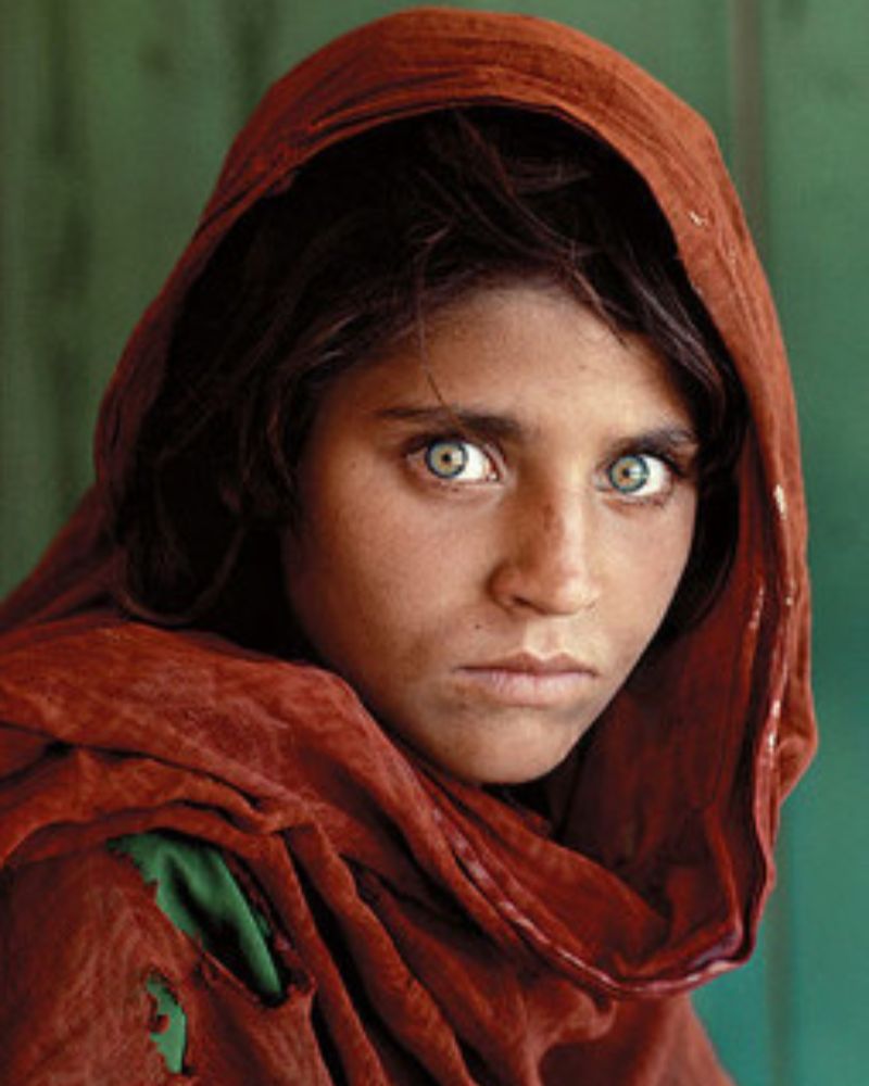 Adeebart - Sharbat Gul